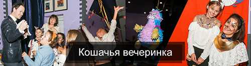 Зарисовки с кошачьих вечеринок